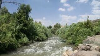 Comentario SEGUNDO DOMINGO DE ADVIENTO -  "A"