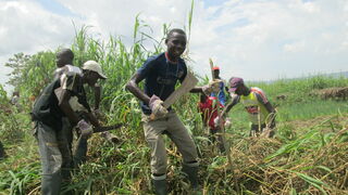 Cuestión de vida o muerte. Reflexiones sobre el cambio climático en Africa