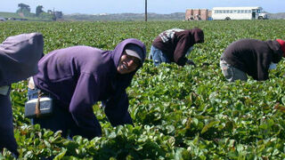 Una ley que favorece a todos