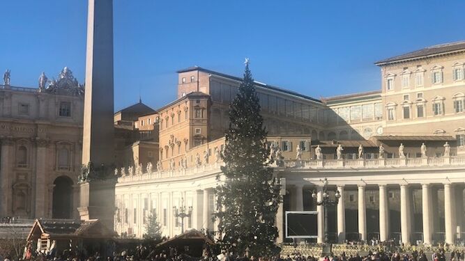 Belén y árbol vaticano