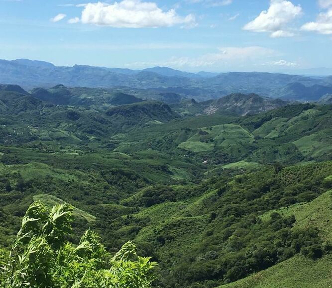 Camino a El Platanar