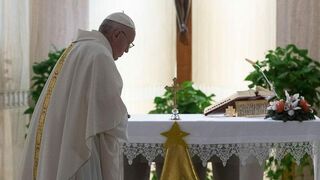 Francisco en Santa Marta