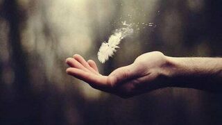 E sentido de la vida