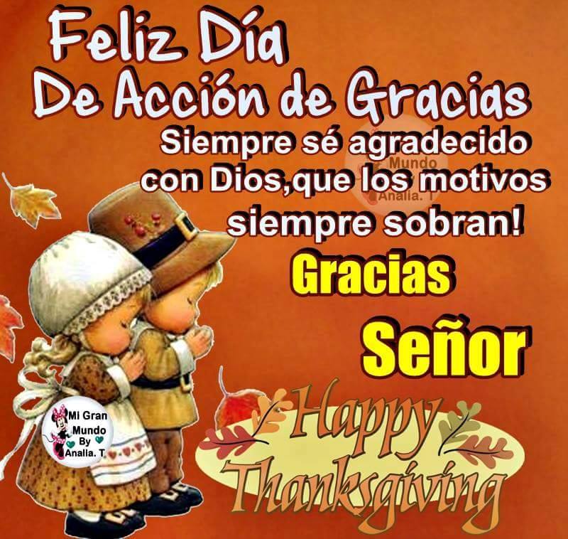 Día de acción de gracias