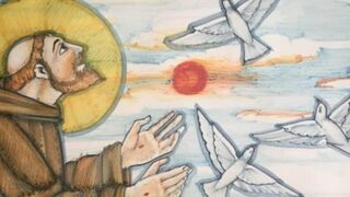 "Si no respetamos a todo ser, acabamos no respetando al ser más complejo y misterioso de la creación que es el ser humano"