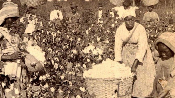 Trabajo esclavo en algodonales americanos