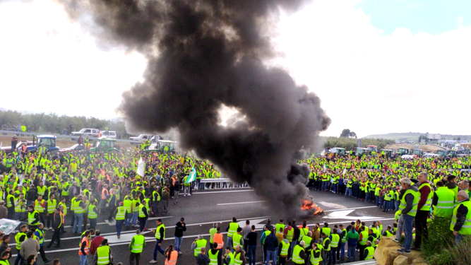 Protestas de los olivareros de Jaén