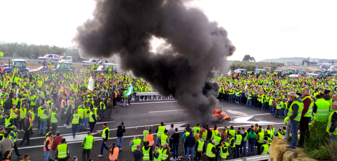 Protestas de los olivareros de Jaén