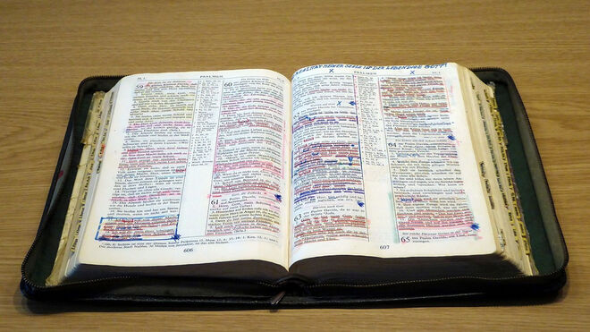 La Palabra de Dios "está muy cerca de ti: en tu corazón y en tu boca para que la pongas en práctica" (Dt 30,14)