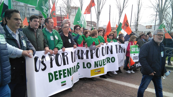 Manifestación del campo