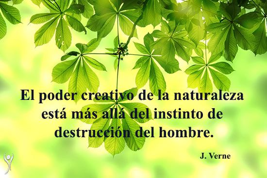 frases-julio-verne