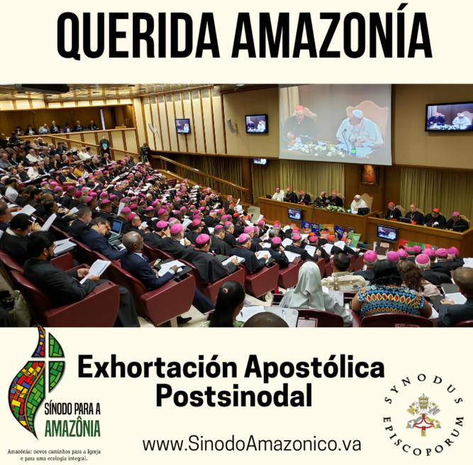Querida Amazonia