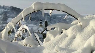 No tan "querida Amazonía"