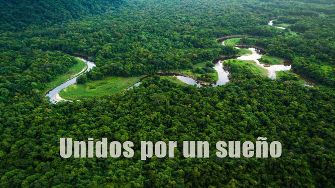 Amazonía palpitante