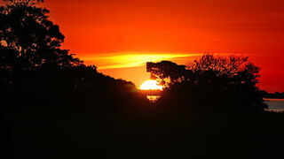 No todos los "sueños" de la "Querida Amazonia" implican profetismo y audaci