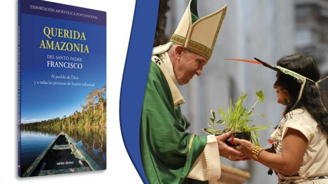 Querida Amazonia