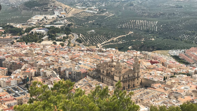 Catedral de Jaén, con olivares al fondo