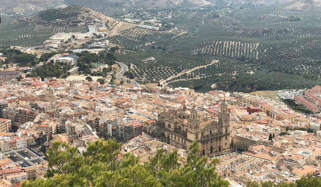Catedral de Jaén, con olivares al fondo