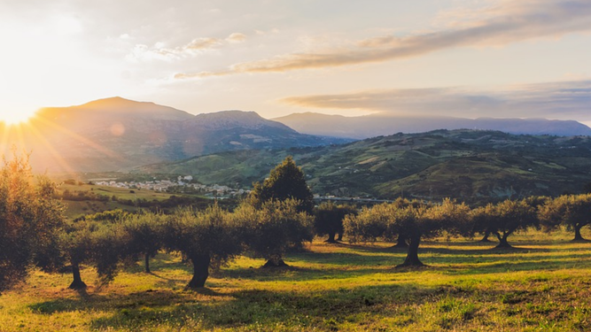 Olivares de Jaén
