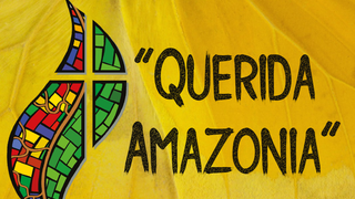 Exhortación papal Querida Amazonía