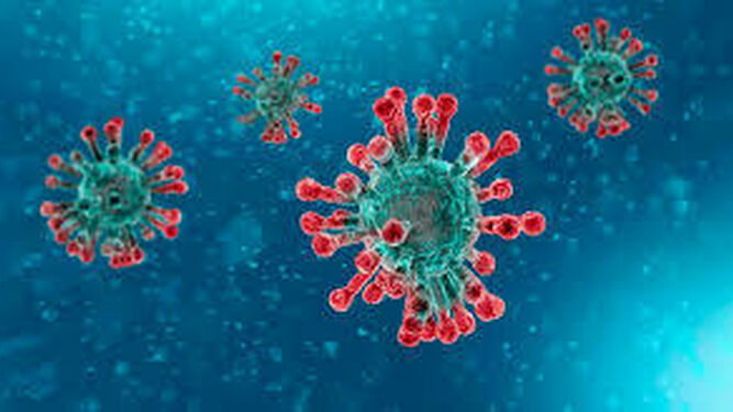 Coronavirus
