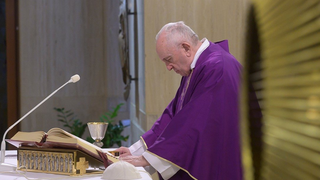 El Papa, en Santa Marta