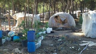 Asentamiento de inmigrantes en Huelva