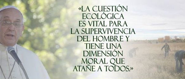 Conversión ecológica