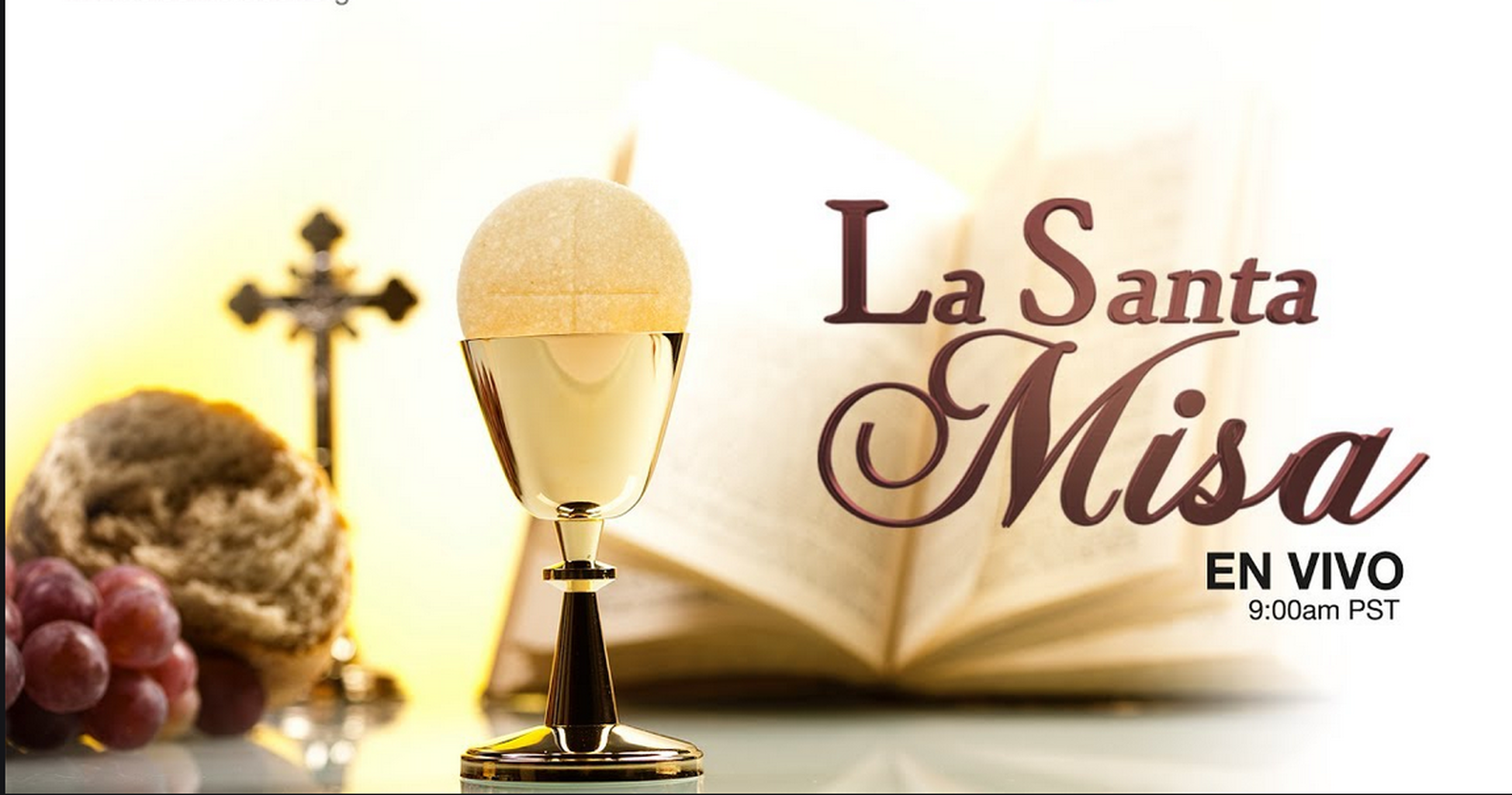 Misa De Hoy Domingo En Vivo Google Search