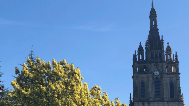 Catedral de Bilbao