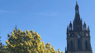 Catedral de Bilbao