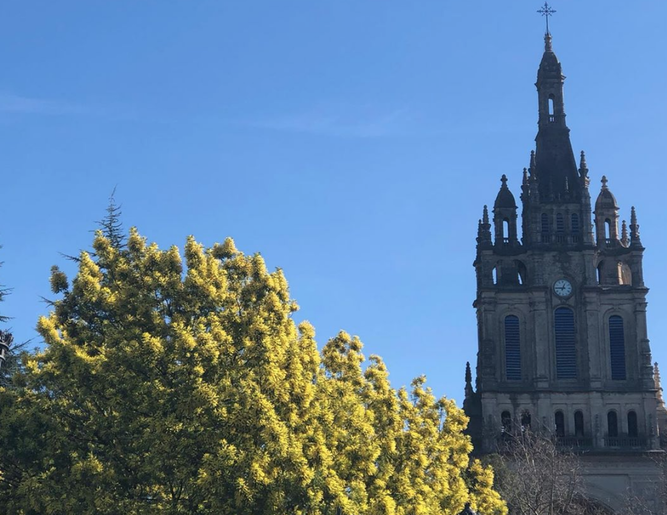 Catedral de Bilbao