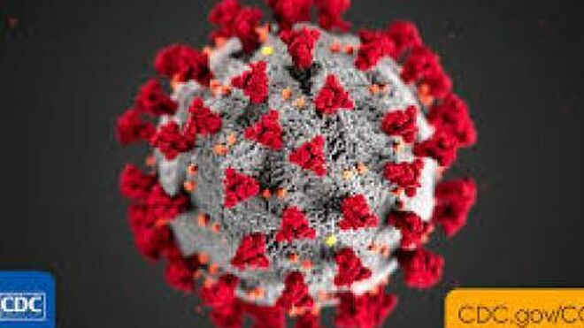 Obispos congoleños alertan sobre el coranvirus