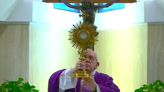 El Papa bendice con la custodia