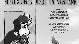 ...desde la ventana 03