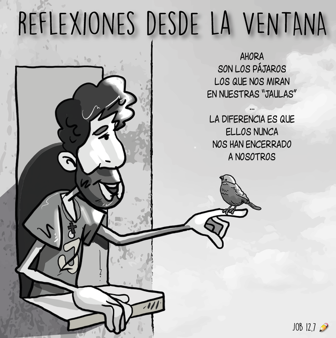 ...desde la ventana 03