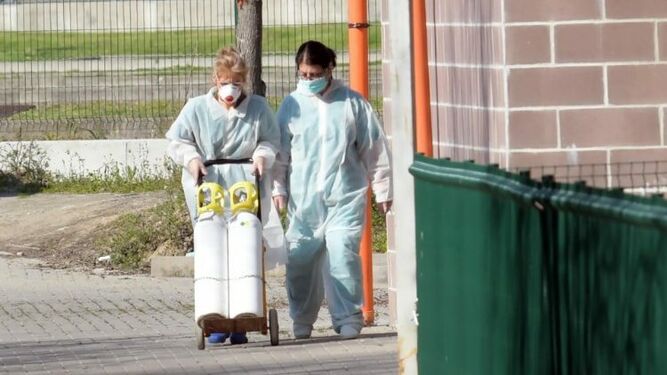 Solidaridad en tiempos de pandemia