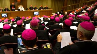 Sínodo de la Amazonía