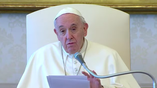 Francisco, durante la audiencia de los miércoles, confinado en el Palacio