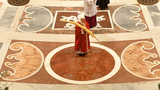 El Papa, en el domingo de Ramos