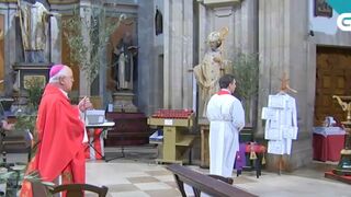 Monseñor Barrio, misa de Domingo de Ramos