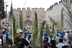 procesión-de-domingo-de-ramos-en-jerusalén-19219726