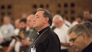 Monseñor De las Heras