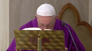 El Papa, en Santa Marta