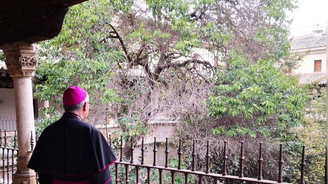 Monseñor Cerro