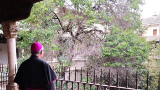 Monseñor Cerro