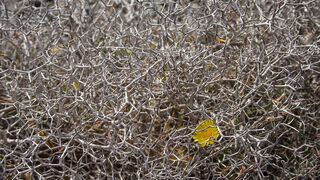 Coimentario a las lecturas del Triduo Pascual