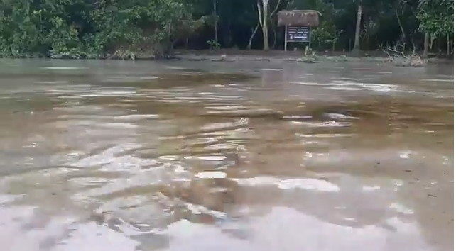 Petroleo en el Río Coca