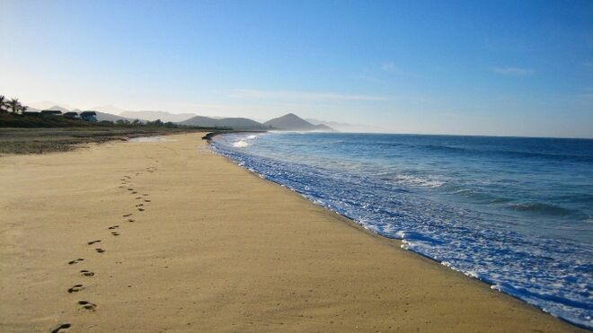 Volver a Galilea