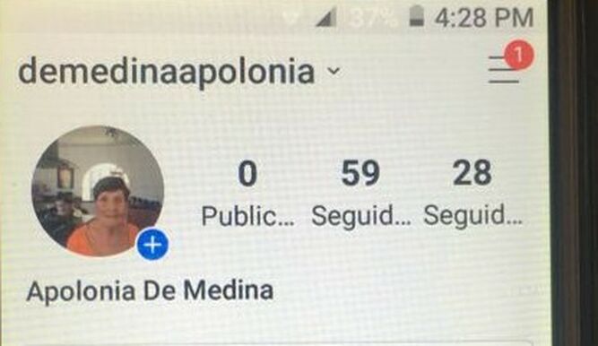 Perfil de Apolonia en la red